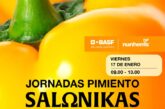 Día 17 de enero. Jornadas de pimiento Salonikas de Nunhems