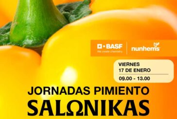 Día 17 de enero. Jornadas de pimiento Salonikas de Nunhems