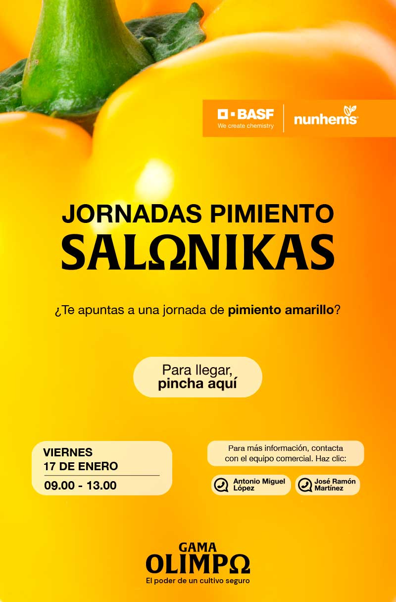 jornada de pimiento Salonikas de Basf Nunhems