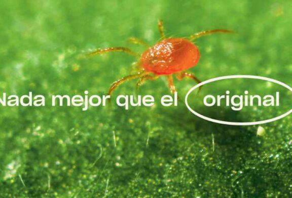 Koppert inicia el año con dos nuevos formatos para control de araña roja