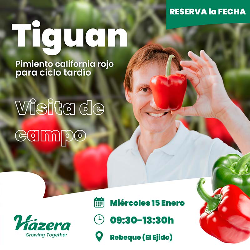 Día 15 de enero. Jornada de pimiento de Hazera