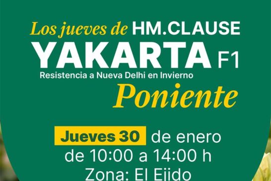 Día 30 de enero. Jornada de calabacín de HM.Clause