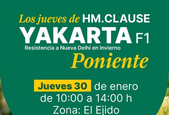 Día 30 de enero. Jornada de calabacín de HM.Clause