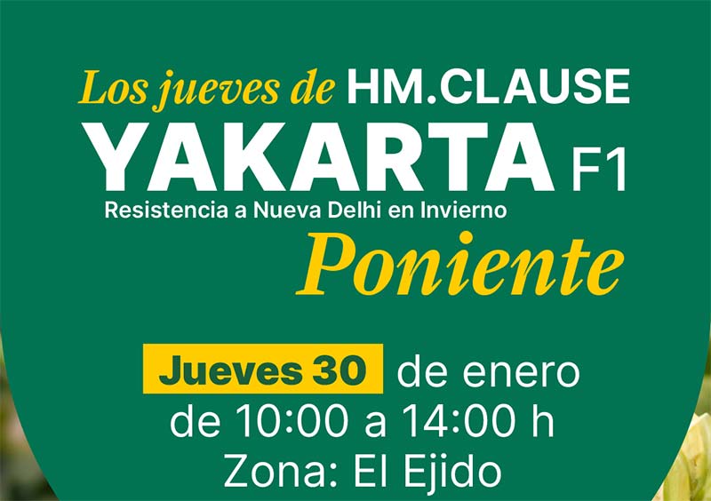 Día 30 de enero. Jornada de calabacín de HM.Clause