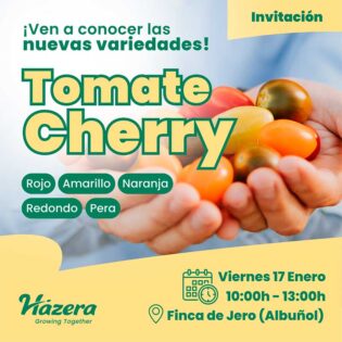 Día 17 de enero. Jornada de tomate cherry de Hazera