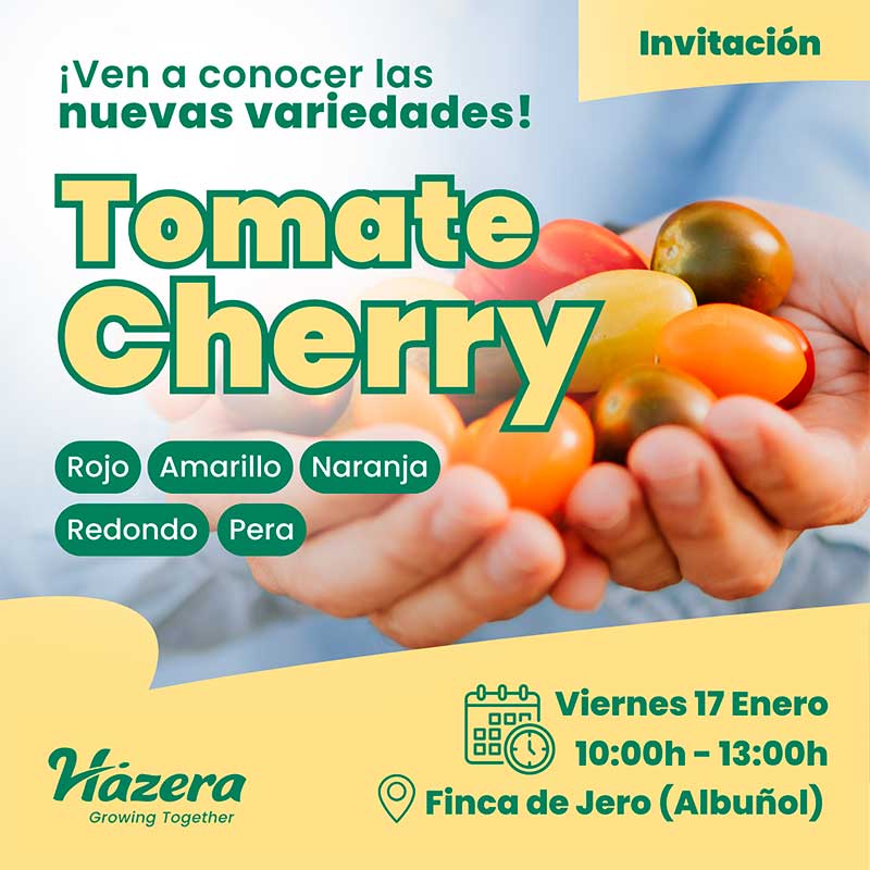 Día 17 de enero. Jornada de cherry de Hazera