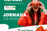 Día 16 de enero. Jornada de tomate Heredero de Hazera