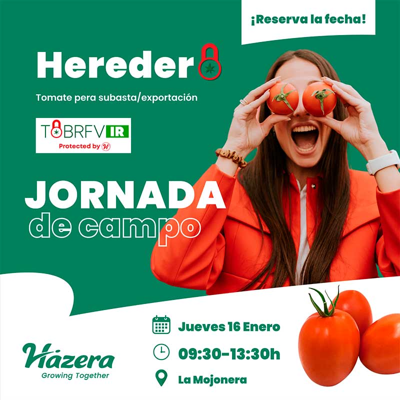 Día 16 de enero. Jornada de tomate Heredero de Hazera