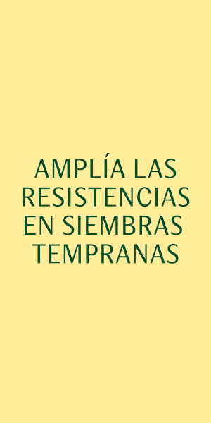 RASCACIELOS SEMILLAS FITO 2025