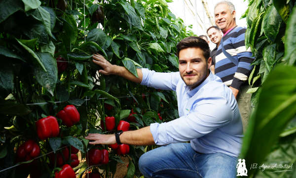 Jorge Fernández, técnico comercial de HM.Clause / agroautentico.com