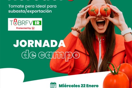 Días 22 enero. Jornada de tomate de Hazera en Castell de Ferro