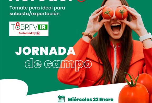 Días 22 enero. Jornada de tomate de Hazera en Castell de Ferro