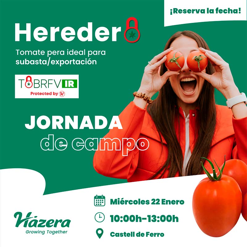 Días 22 enero. Jornada de tomate de Hazera en Castell de Ferro