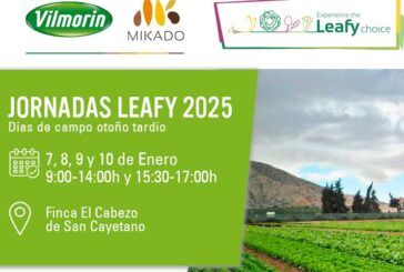 Del día 7 al 10 de enero. Jornadas Leafy Vilmorin-Mikado