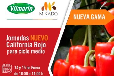 Días 14 y 15 de enero. Jornada de california rojo de Vilmorin-Mikado