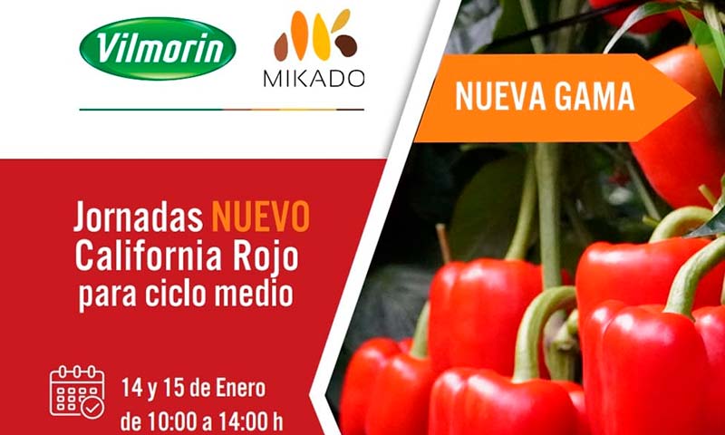 Días 14 y 15 de enero. Jornada de california rojo de Vilmorin-Mikado