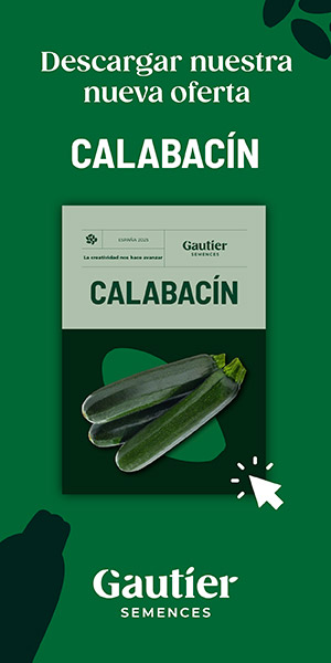 RASCACIELOS GAUTIER 2025