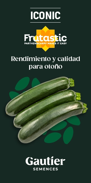RASCACIELOS GAUTIER 2025