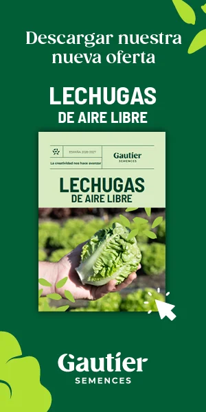 RASCACIELOS GAUTIER 2025