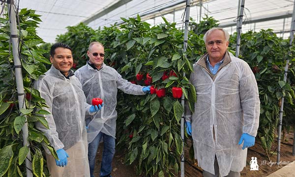 Visita con Plant Health Care. Ángel Marín, Jeff Tweedy y Rafael del Río / agroautentico.com