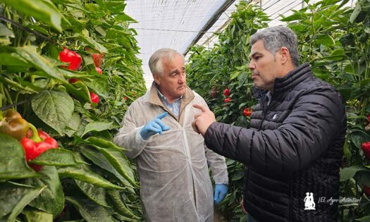 Rafael del Río, PI Industries, con el agricultor almeriense Juan Gabriel Escobar / agroautentico.com