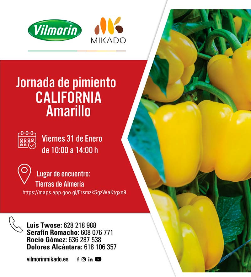 Día 31 de enero. Jornada de pimiento de Vilmorin-Mikado