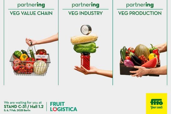 Veg Production, Veg Industry y Veg Value Chain de Semillas Fitó en Fruit Logistica 2025