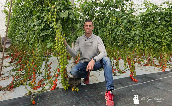 Jerónimo Maldonado en su finca de Albuñol. Agricultor de la costa de Granada / agroautentico.com