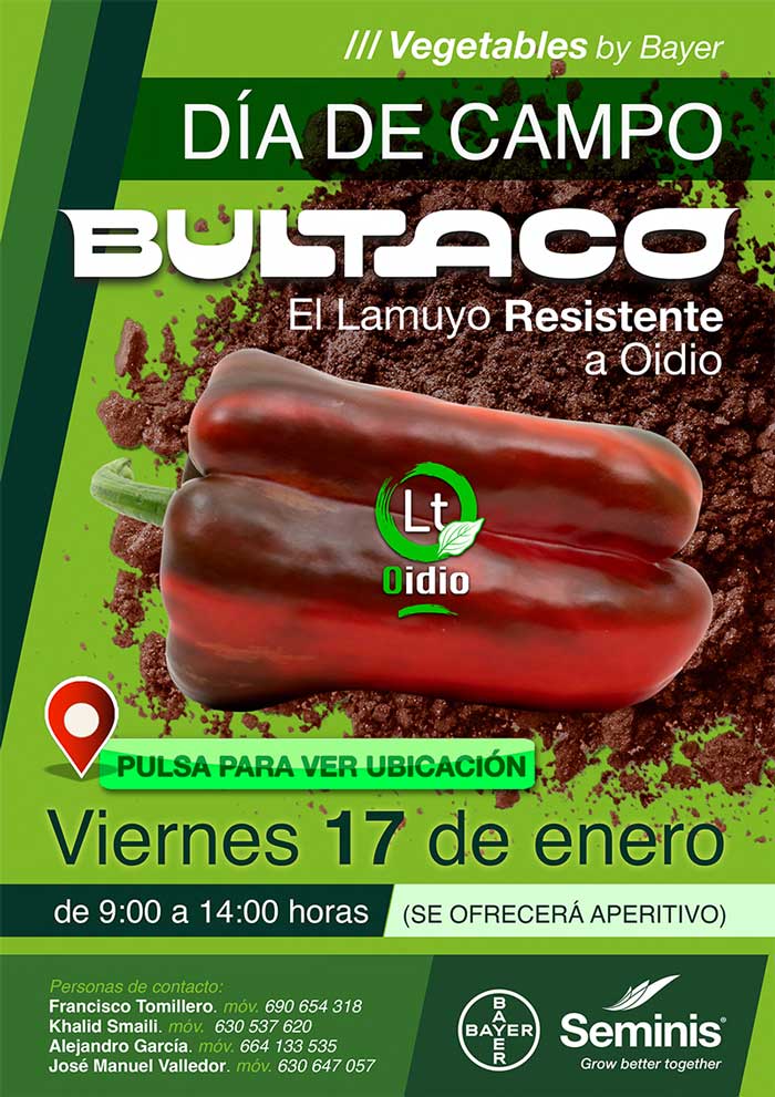 Día 17 de enero. Jornada de pimiento lamuyo de Seminis