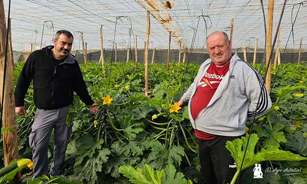 Jesús Moreno y José Antonio García son productores ejidenses de calabacín / agroautentico.com