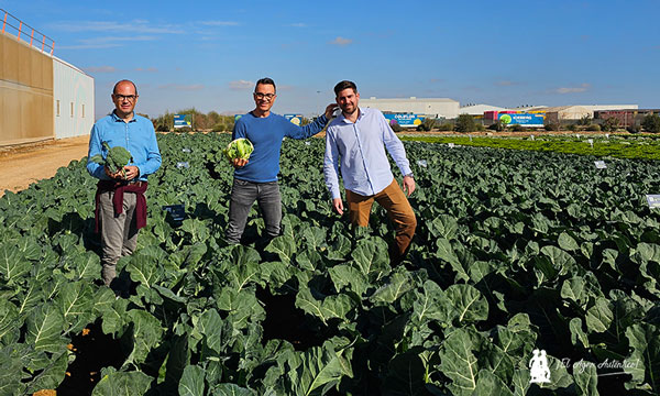 Antonio Gutiérrez, jefe de producto en brásicas; Alfonso Sánchez, delegado de ventas en Murcia; y José Ignacio López, delegado en zona norte / agroautentico.com