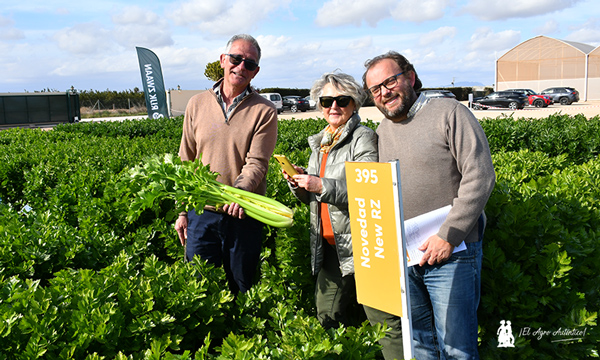 José Antonio Arcos, María Fernanda Campa y Santiago Gastón de Iriarte en Murcia con nuevas variedades de apio / agroautentico.com