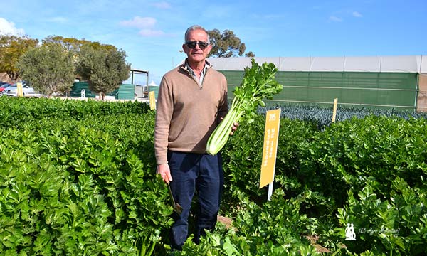 Santiago Gastón de Iriarte, especialista de cultivo de Rijk Zwaan / agroautentico.com