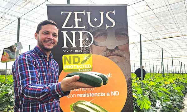 José Vázquez, Syngenta, con el calabacín Zeus ND / agroautentico.com