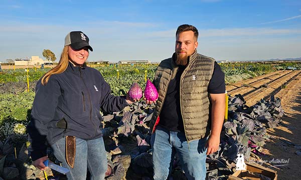 Isabel Fernández, mejoradora de brásicas de Bejo, y Rubén Muñoz, técnico de desarrollo, con col picuda / agroautentico.com