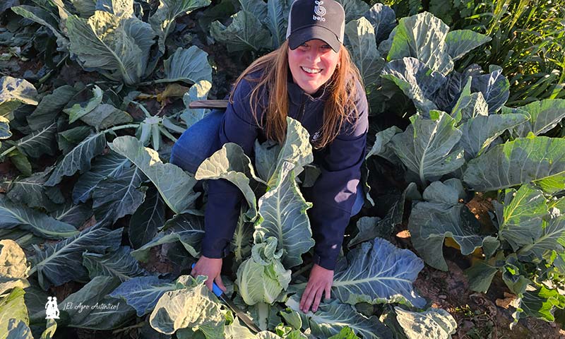 Isabel Fernández en Murcia con la novedad en coliflor, variedad Basento / agroautentico.com