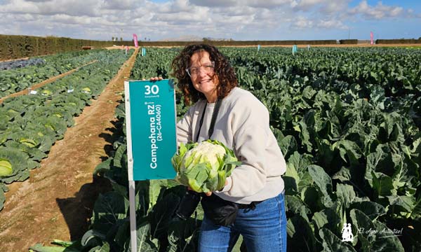 Con la variedad Campohana en el campo de brásicas de Rijk Zwaan / agroautentico.com