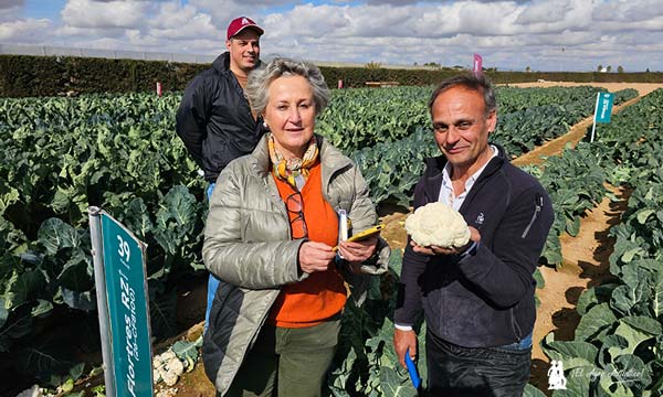 María Fernanda Campa, responsable de calidad de Greenyard Fresh Spain, y José Antonio Hernández con la variedad Flortres / agroautentico.com