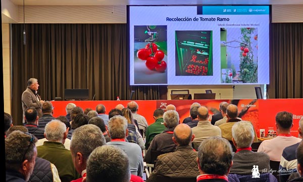 Juan Carlos Gázquez de Cajamar Innova en el Congreso de Tomate en la cooperativa La Palma / agroautentico.com