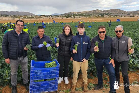 El Grupo Lucas nos sumerge en el Bimi en Murcia y al sur de Alicante