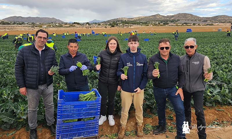 El Grupo Lucas nos sumerge en el Bimi en Murcia y al sur de Alicante