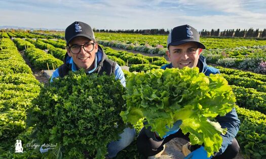 Vincenzo Rampulla y Óscar Peñalver con escarola rizada y lisa de Bejo / agroautentico.com