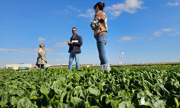 Dario Antonante, product manager de cultivos de hoja de Syngenta, durante las Demo Days Salads 2025, con Isabel Díaz, delegada en Murcia / agroautentico.com