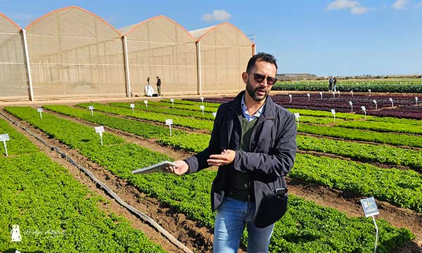 Dario Antonante, product manager de cultivos de hoja de Syngenta, durante las Demo Days Salads 2025 / agroautentico.com