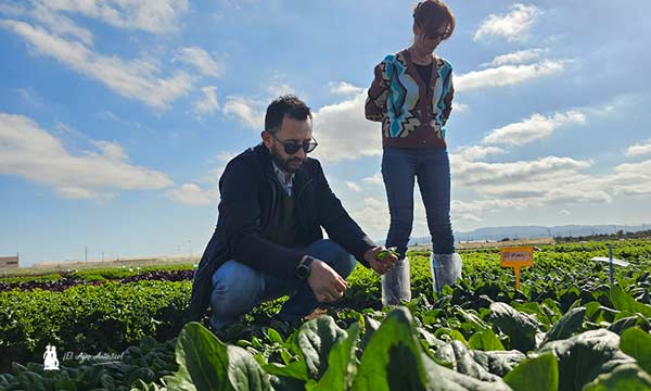 Dario Antonante e Isabel Díaz, en el campo de espinacas de Syngenta / agroautentico.com