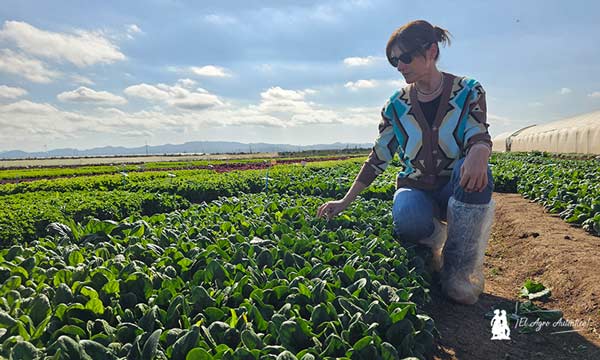 Isabel Díaz con la espinaca Waka / agroautentico.com