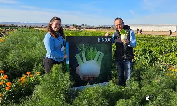 La diversidad es seña de identidad de Bejo. El hinojo también presente en su rico catálogo / agroautentico.com