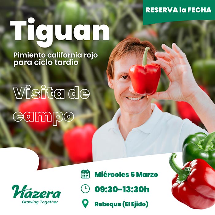 Día 5 de marzo. Jornada de pimiento Tiguan de Hazera