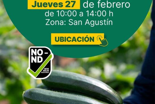 Día 27 de febrero. Jornada de calabacín Arkana de HM.Clause