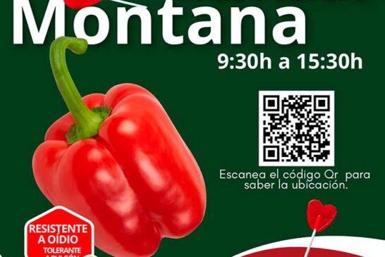 Día 14 de febrero. Jornada de pimiento de Argenta Seeds